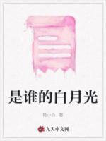 是谁的白月光系列大结局