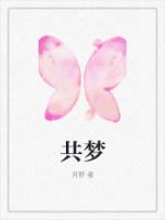 共梦奇缘免费阅读