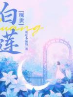 白莲是啥?