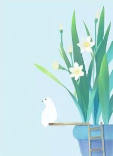 我与绿茶的故事