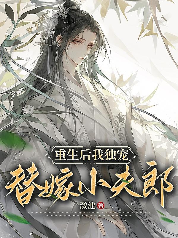 我独宠替嫁小夫郎by潋池txt