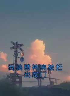 假装精神病人