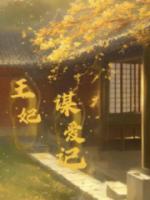 正妃和侧妃一同娶进门的古言