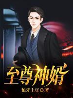 至尊神婿叶昊郑漫儿全集最新章节