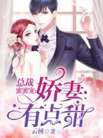总裁蜜蜜宠 老婆有点甜