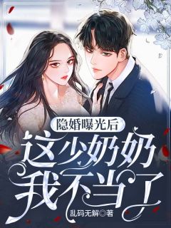 这少奶奶我不当了百度
