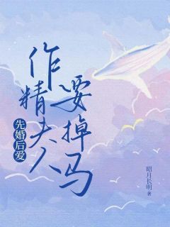 司令夫人不好惹