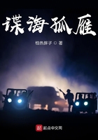 谍海孤雁演员表