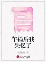 车祸后我失忆了一个冷冰冰的男人说他是我上司