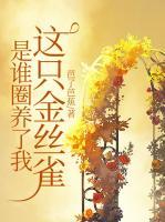 桑旗夏至免费