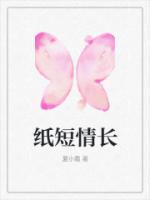 纸短情长英文