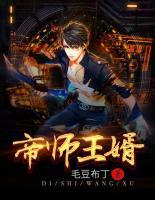 帝师王婿全集观看