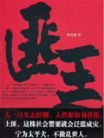 匪王归来秦独行免费阅读