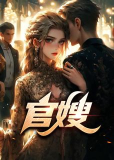 官嫂的完整版免费