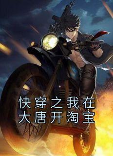穿越之我在大唐开连锁txt