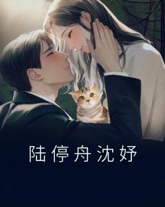 陆舟沈奕欢