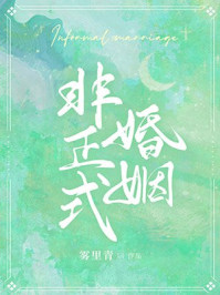 非正式婚姻TXT百度