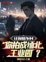 缅甸北部公司