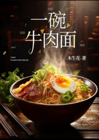 一碗牛肉一碗面视频