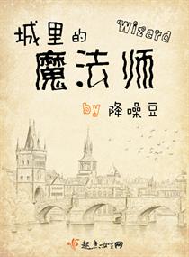 城里的魔法师谁是攻谁是受