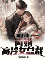 闪婚高冷女总裁生琳涂碳