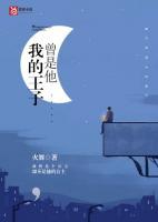我的王子的意思