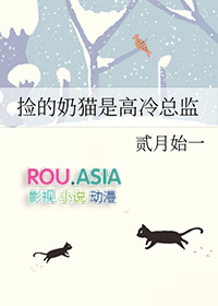 捡来的小奶猫又甜又软