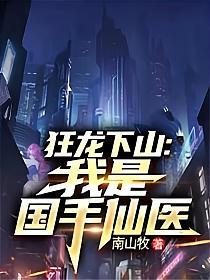 狂龙下山我是国手仙医 书旗