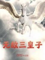 无敌三皇子叶枭