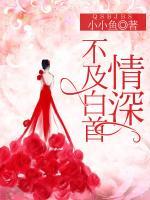 情深不及白首天txt