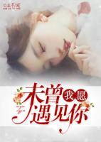 我愿未曾遇见你 - SE88AV