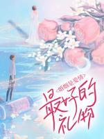男主角顾迟的