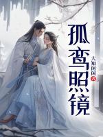 孤鸾照镜不成双曲子
