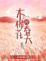 木棉花的春天原唱完整版