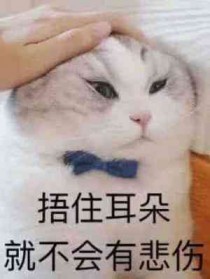 恶毒炮灰向导只想退婚by-l的花园