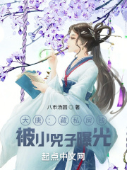大唐小才子免费阅读