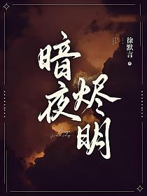 暗夜烬明电视剧免费观看第二部