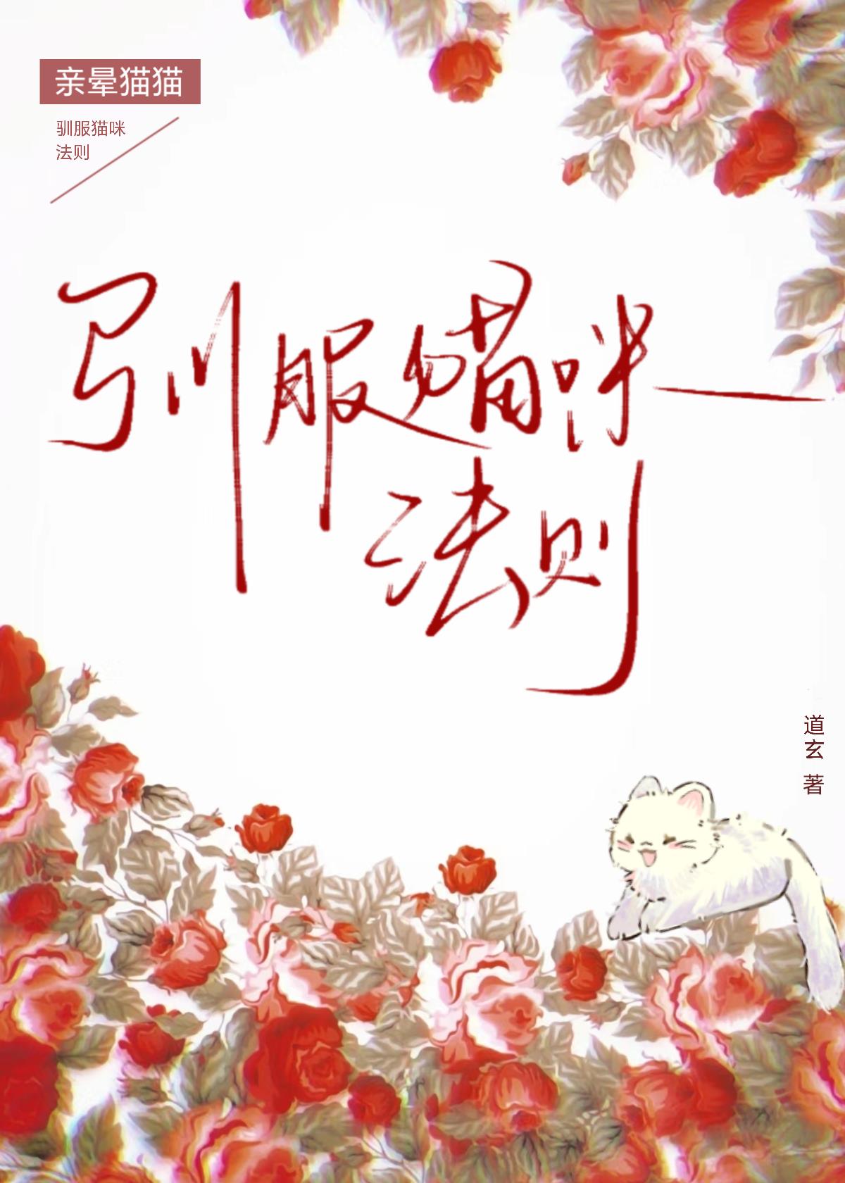 驯服猫咪法则by道玄免费
