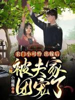 柳小文李修延动画第五十九集大结局