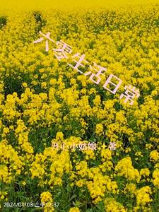 六零年代边苟住边发家边吃瓜资源
