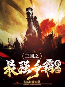 三国之美女如此多娇全本