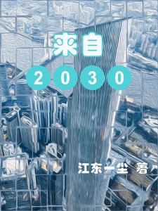 来自2030年