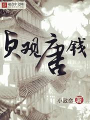 贞观唐钱TXT百度