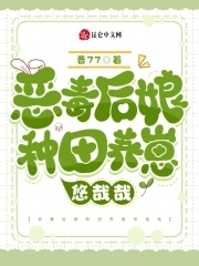 恶毒后娘的亲儿子全文免费阅读