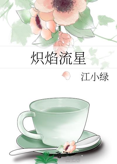 炽焰流星番外txt