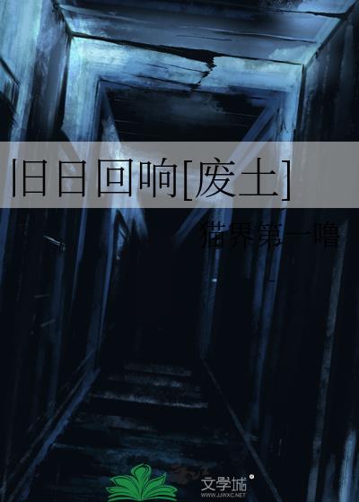 旧日回响txt