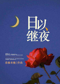 日以继夜简介